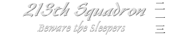213th Squadron, Beware the Sleepers