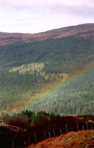 Pot of Gold or Star Leage Deopt?