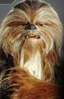 Chunara, Wookie